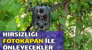 Meyve bahçelerine dadanan hırsızları foto kapanla yakalayacaklar