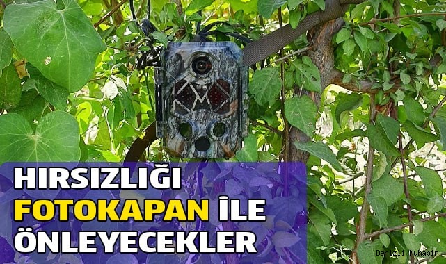 Meyve bahçelerine dadanan hırsızları foto kapanla yakalayacaklar