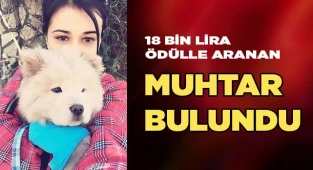 Muhtar Bulundu