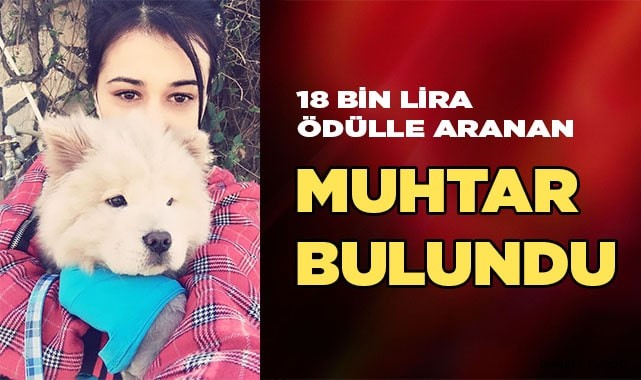 Muhtar Bulundu