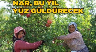 Nar üreticisinin yüzünü güldürecek