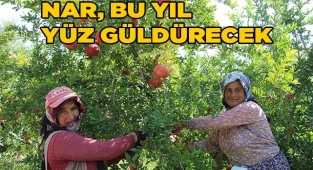 Nar üreticisinin yüzünü güldürecek