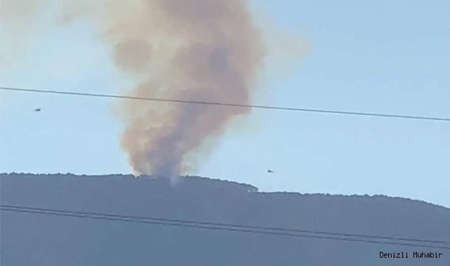Ormanlık alanda başlayan yangın kontrol altına alındı