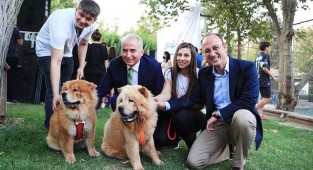 PAMUKKALE’DE HAYVAN DOSTLARI PATİFEST’TE BULUŞTU