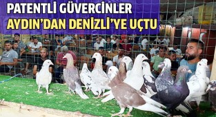 Patentli güvercinler Aydın'dan Denizli'ye uçtu