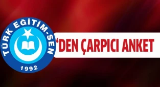 TES’DEN ÇARPICI ANKET