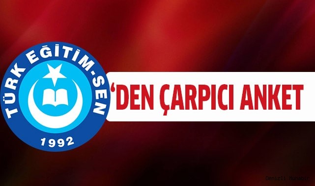 TES’DEN ÇARPICI ANKET