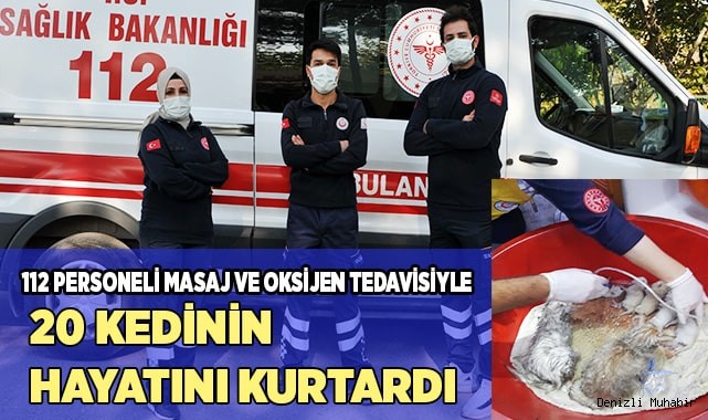 112 personeli masaj ve oksijen tedavisiyle 20 kedinin hayatını kurtardı