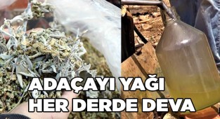 Adaçayı yağı her derde deva