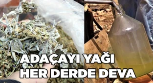 Adaçayı yağı her derde deva