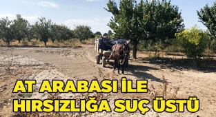 At arabası ile hırsızlığa suç üstü