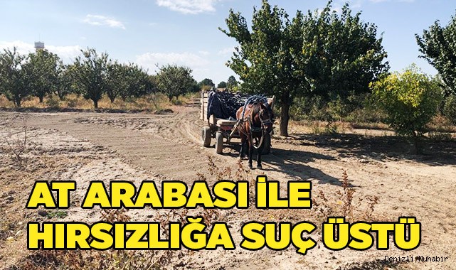 At arabası ile hırsızlığa suç üstü