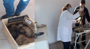 BAŞKAN SÜRÜCÜLERİ UYARDI