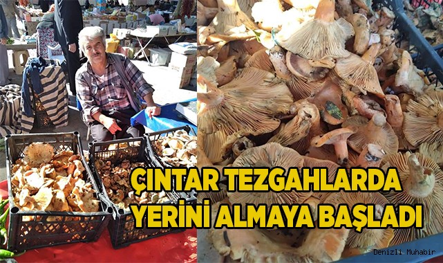 Çıntar tezgahlarda yerini almaya başladı