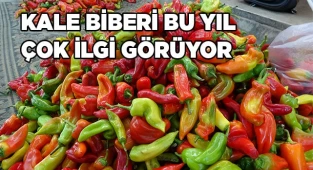 Denizli’nin meşhur biberi sonbaharda yoğun ilgi gördü