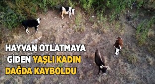 Hayvan otlatmaya giden yaşlı kadın dağda kayboldu