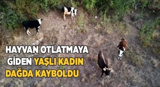 Hayvan otlatmaya giden yaşlı kadın dağda kayboldu