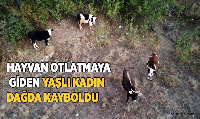 Hayvan otlatmaya giden yaşlı kadın dağda kayboldu