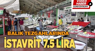 İstavrit'te bolluk yaşanıyor