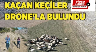 Kaçan keçiler drone'la bulundu