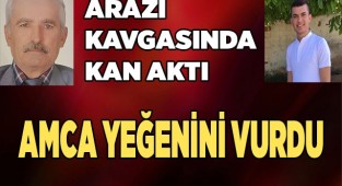Kardeşiyle girdiği arazi kavgasında yeğeninin katili oldu