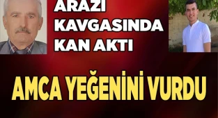 Kardeşiyle girdiği arazi kavgasında yeğeninin katili oldu