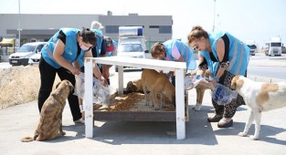 MERKEZEFENDİ BELEDİYESİ CAN DOSTLARA SAHİP ÇIKIYOR