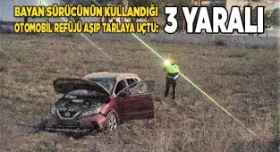 Otomobil refüjü aşıp tarlaya uçtu: 3 yaralı