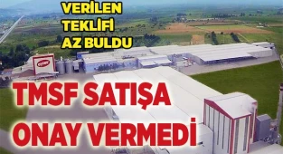 TMSF, Aynes'in satışına onay vermedi