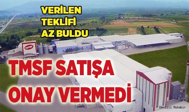 TMSF, Aynes'in satışına onay vermedi