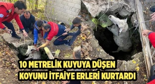 10 metrelik kuyuya düşen koyunu itfaiye erleri kurtardı