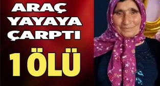 Araç yayaya çarptı. 1 Ölü