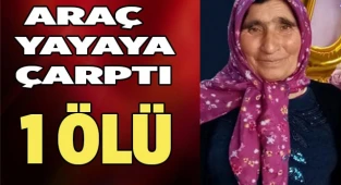 Araç yayaya çarptı. 1 Ölü