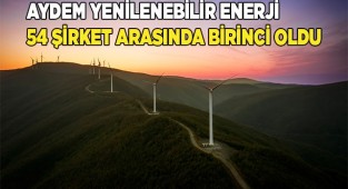 Aydem Yenilenebilir Enerji, Çevresel-Sosyal-Yönetişim Skoruyla Yine Türkiye Lideri