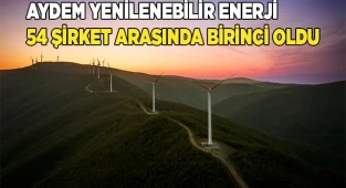 Aydem Yenilenebilir Enerji, Çevresel-Sosyal-Yönetişim Skoruyla Yine Türkiye Lideri