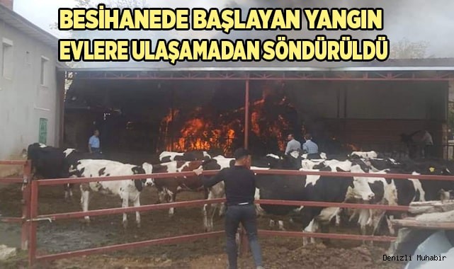 Besihanede başlayan yangın evlere ulaşamadan söndürüldü