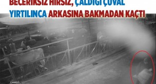 Besihanedeki haşhaşları çuvallarla çalan şüpheli tutuklandı