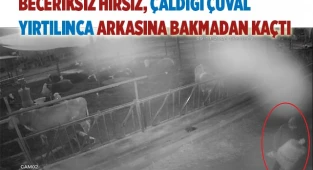 Besihanedeki haşhaşları çuvallarla çalan şüpheli tutuklandı
