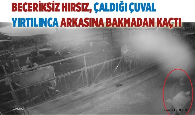 Besihanedeki haşhaşları çuvallarla çalan şüpheli tutuklandı
