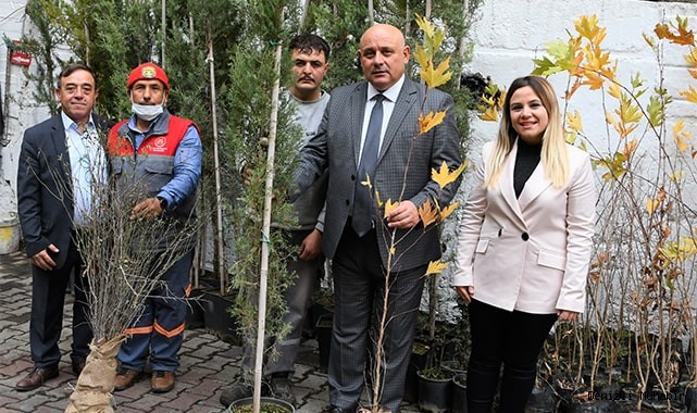 Buldan’a hibe fidan desteği sürüyor