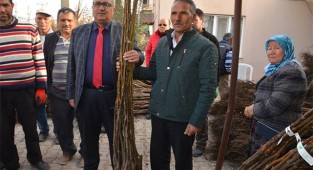Çameli Belediyesi’nden ceviz üretimine destek
