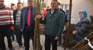 Çameli Belediyesi’nden ceviz üretimine destek
