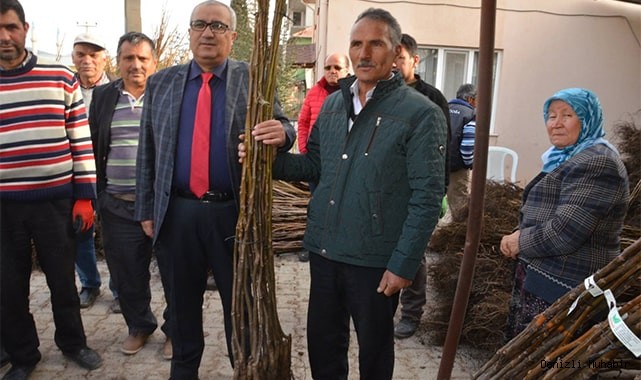 Çameli Belediyesi’nden ceviz üretimine destek