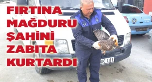 FIRTINA MAĞDURU ŞAHİNİ ZABITA KURTARDI