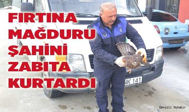 FIRTINA MAĞDURU ŞAHİNİ ZABITA KURTARDI