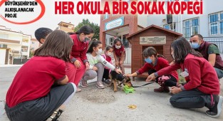 Her okula bir sokak köpeği