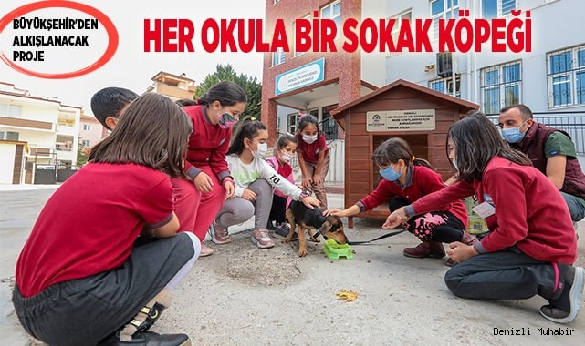 Her okula bir sokak köpeği