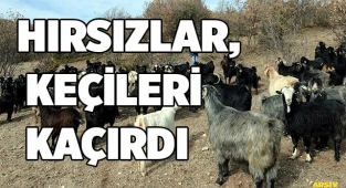 Hırsızlar, keçileri kaçırdı