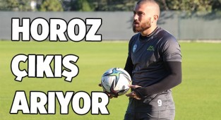 Horoz çıkış arıyor