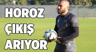 Horoz çıkış arıyor